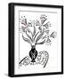 73CO-Pierre Henri Matisse-Framed Giclee Print