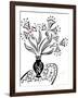 73CO-Pierre Henri Matisse-Framed Giclee Print