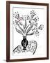 73CO-Pierre Henri Matisse-Framed Giclee Print