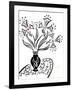 73CO-Pierre Henri Matisse-Framed Giclee Print