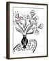 73CO-Pierre Henri Matisse-Framed Giclee Print