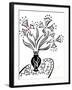 73CO-Pierre Henri Matisse-Framed Giclee Print