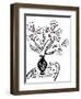 73CO-Pierre Henri Matisse-Framed Giclee Print