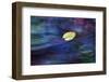 7413_ Leave me in color-Heidi Westum-Framed Photographic Print