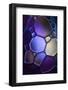 7691_Shapes in purple-Heidi Westum-Framed Photographic Print