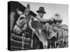 78 Year Old Prospector Pete Del Dosso Prospecting in Red River Canyon-Cornell Capa-Stretched Canvas