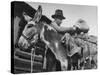 78 Year Old Prospector Pete Del Dosso Prospecting in Red River Canyon-Cornell Capa-Stretched Canvas