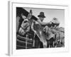 78 Year Old Prospector Pete Del Dosso Prospecting in Red River Canyon-Cornell Capa-Framed Photographic Print