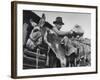 78 Year Old Prospector Pete Del Dosso Prospecting in Red River Canyon-Cornell Capa-Framed Photographic Print
