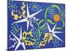 7CO-Pierre Henri Matisse-Mounted Giclee Print