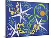 7CO-Pierre Henri Matisse-Mounted Giclee Print