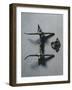 7th Century Horse Bit, from Nocera Umbra, Italy-null-Framed Giclee Print