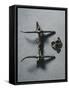 7th Century Horse Bit, from Nocera Umbra, Italy-null-Framed Stretched Canvas