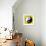 8-Bit Pixel-Art Yin Yang Symbol-wongstock-Framed Art Print displayed on a wall