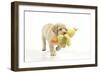 8 Week Old Labrador Puppy Holding a Teddy Duck-null-Framed Photographic Print