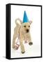 8 Week Old Labrador Puppy in Party Hat and Streamers-null-Framed Stretched Canvas