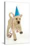 8 Week Old Labrador Puppy in Party Hat and Streamers-null-Stretched Canvas