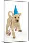 8 Week Old Labrador Puppy in Party Hat and Streamers-null-Mounted Photographic Print