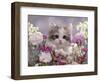 8-Week, Silver Tortoiseshell-And-White Kitten, Among Gillyflowers, Carnations and Meadowseed-Jane Burton-Framed Premium Photographic Print