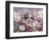 8-Week, Silver Tortoiseshell-And-White Kitten, Among Gillyflowers, Carnations and Meadowseed-Jane Burton-Framed Premium Photographic Print