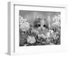 8-Week, Silver Tortoiseshell-And-White Kitten, Among Gillyflowers, Carnations and Meadowseed-Jane Burton-Framed Premium Photographic Print