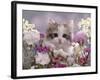 8-Week, Silver Tortoiseshell-And-White Kitten, Among Gillyflowers, Carnations and Meadowseed-Jane Burton-Framed Photographic Print