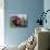 8 Year Old Boy Taking a Drink During a Football Game-null-Photographic Print displayed on a wall