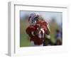 8 Year Old Boy Taking a Drink During a Football Game-null-Framed Photographic Print