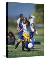 8 Year Old Girls in Action Durring Soccer Game, Lakewood, Colorado, USA-null-Stretched Canvas
