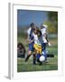 8 Year Old Girls in Action Durring Soccer Game, Lakewood, Colorado, USA-null-Framed Photographic Print