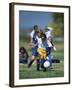 8 Year Old Girls in Action Durring Soccer Game, Lakewood, Colorado, USA-null-Framed Photographic Print