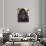 800 Pound Gorilla-Leah Saulnier-Giclee Print displayed on a wall
