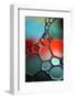 8008_Different shapes-Heidi Westum-Framed Photographic Print