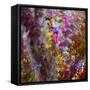 8132_Colors from the sun-Heidi Westum-Framed Stretched Canvas