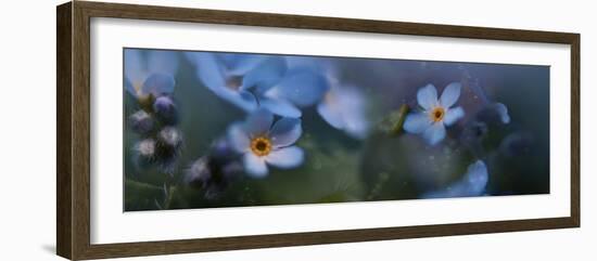 8360_The tiny ones-Heidi Westum-Framed Photographic Print