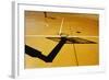 84/14-paolo luxardo-Framed Photographic Print