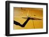 84/14-paolo luxardo-Framed Premium Photographic Print