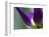 8446_Exposed-Heidi Westum-Framed Photographic Print