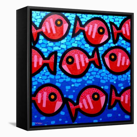 9 Happy Fish-John Nolan-Framed Stretched Canvas