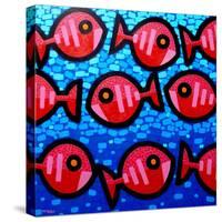 9 Happy Fish-John Nolan-Stretched Canvas