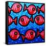 9 Happy Fish-John Nolan-Framed Stretched Canvas