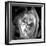 9 Month Foetus, MRI Scan-Du Cane Medical-Framed Photographic Print