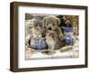 9-Week, Blue Bicolour Persian Kitten, Brindle Teddy Bear and Victorian Staffordshire Wash-Stand Set-Jane Burton-Framed Premium Photographic Print