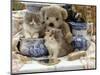 9-Week, Blue Bicolour Persian Kitten, Brindle Teddy Bear and Victorian Staffordshire Wash-Stand Set-Jane Burton-Mounted Premium Photographic Print