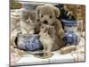 9-Week, Blue Bicolour Persian Kitten, Brindle Teddy Bear and Victorian Staffordshire Wash-Stand Set-Jane Burton-Mounted Photographic Print