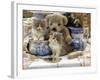 9-Week, Blue Bicolour Persian Kitten, Brindle Teddy Bear and Victorian Staffordshire Wash-Stand Set-Jane Burton-Framed Photographic Print
