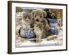 9-Week, Blue Bicolour Persian Kitten, Brindle Teddy Bear and Victorian Staffordshire Wash-Stand Set-Jane Burton-Framed Photographic Print