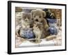 9-Week, Blue Bicolour Persian Kitten, Brindle Teddy Bear and Victorian Staffordshire Wash-Stand Set-Jane Burton-Framed Photographic Print