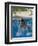 9 Year Old Boy Diving into a Swimming Pool, Woodstock, New York, USA-Paul Sutton-Framed Photographic Print