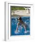 9 Year Old Boy Diving into a Swimming Pool, Woodstock, New York, USA-Paul Sutton-Framed Photographic Print